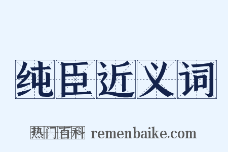纯臣近义词是什么意思的图片